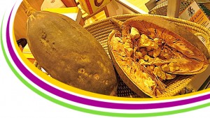 aafex-cacao-economie-afrique