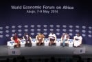 L’entreprenariat social africain à l’honneur lors du Sommet économique mondial d’Abuja