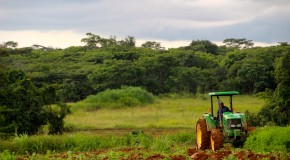 Philippe de Moerloose : « La réussite et le développement de l’agriculture africaine passent par la mécanisation »