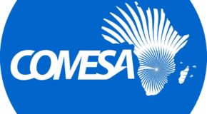 Adhésion au COMESA : la Tunisie intensifie sa politique africaine