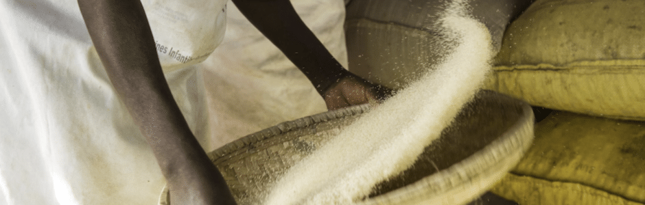 Le fonio, la céréale africaine qui séduit les marchés internationaux