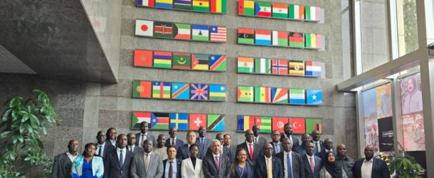 L’Afrique veut financer son avenir avec sa propre épargne