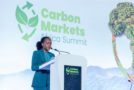 Finance carbone : à Kigali, l&rsquo;Afrique cherche à reprendre le contrôle de ses actifs naturels