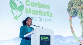 Finance carbone : à Kigali, l&rsquo;Afrique cherche à reprendre le contrôle de ses actifs naturels