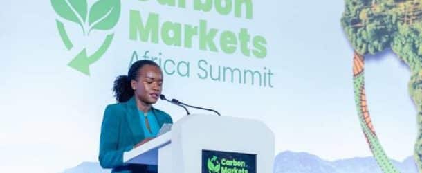 Finance carbone : à Kigali, l&rsquo;Afrique cherche à reprendre le contrôle de ses actifs naturels