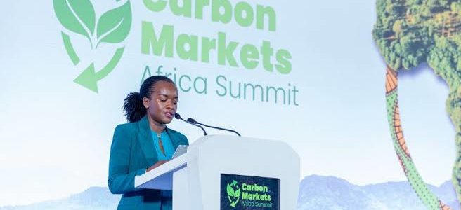 Finance carbone : à Kigali, l&rsquo;Afrique cherche à reprendre le contrôle de ses actifs naturels